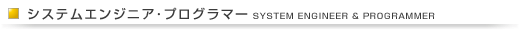 システムエンジニア　募集要項