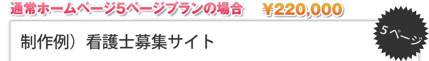 制作例 看護士募集サイト　５ページ